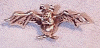 batpin.gif (16383 bytes)