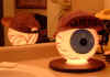 003eyeball.jpg (19427 bytes)