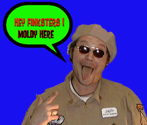 finksters.gif (23295 bytes)