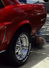 car03a.gif (58067 bytes)