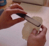 0004.gif (36582 bytes)