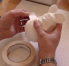 0006.gif (52088 bytes)