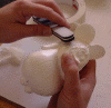 0007.gif (51232 bytes)