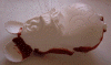 0009.gif (29208 bytes)
