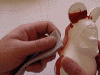 0012.gif (42119 bytes)