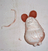 0013.gif (49800 bytes)