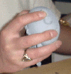 0104.gif (22842 bytes)