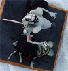 top.gif (61222 bytes)