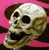 screamin.gif (17862 bytes)