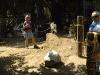walk.gif (27938 bytes)