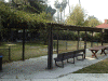 05horse.gif (107048 bytes)