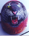 1_helmet.gif (47166 bytes)