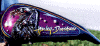 sieagle.gif (38073 bytes)