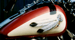Bike1.gif (7939 bytes)